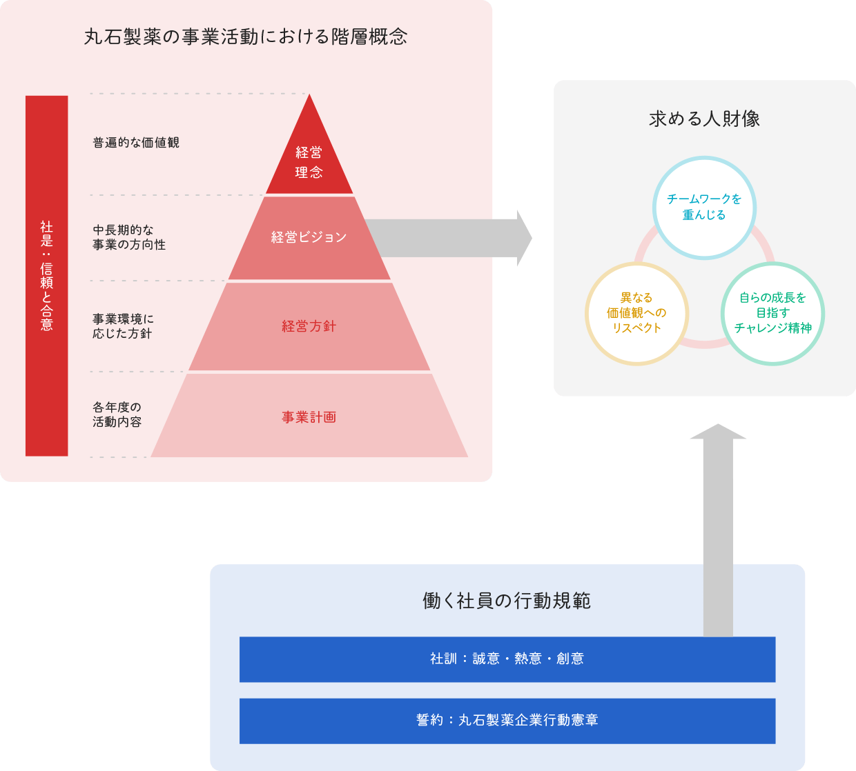 図：丸石製薬の事業活動における階層概念と働く社員の行動規範から求める人財像