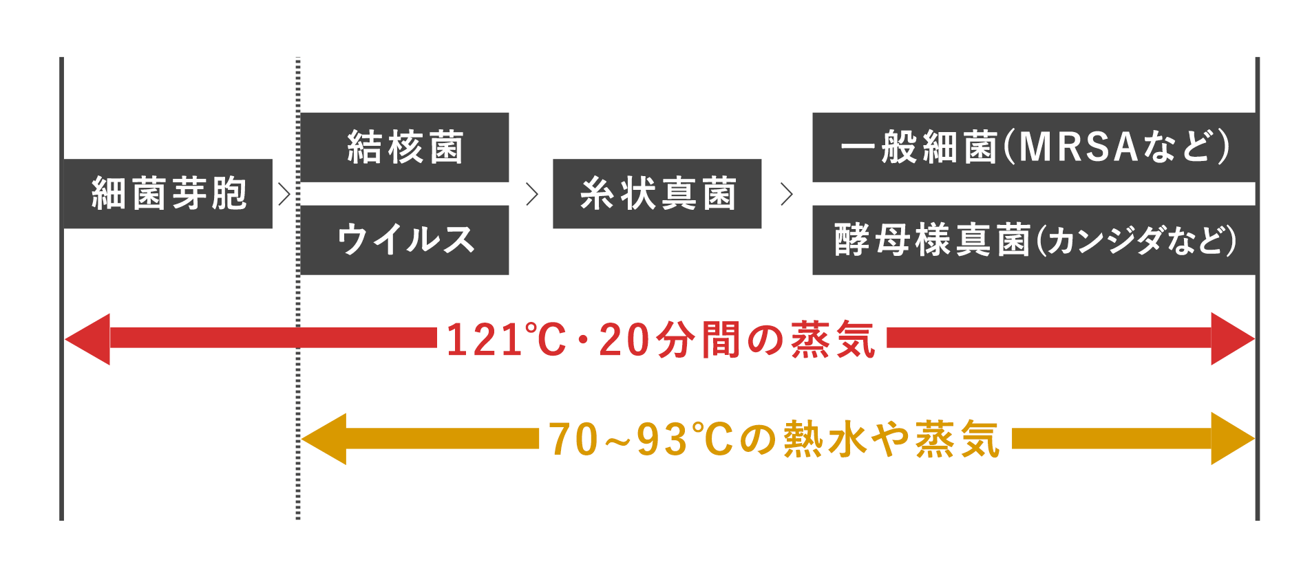 121℃・20分間の蒸気は細菌芽胞、結核菌・ウイルス、糸状真菌、一般細菌（MRSAなど）・酵母様真菌（カンジダなど）に有効である。70～93℃の熱水や蒸気は、細菌芽胞を除いた前述した微生物に有効である。