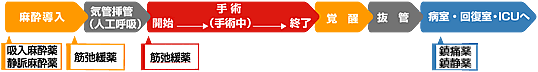 全身麻酔をするにあたり、マスクで麻酔薬を吸入しながら眠ってしまう吸入麻酔と点滴から薬が入って眠ってしまう静脈麻酔のいずれかの方法で行います。手術をより実施しやすくするため筋弛緩薬といわれる筋肉を麻痺させる薬を一緒に使います。次に人工呼吸を行うために口からのどを通して気管の中に管を挿入します。手術がはじまる前に再び筋弛緩薬を使ってから手術を行います。手術が終わって麻酔から覚めたら気管に通していた菅を抜きます。経過観察をするため病室や回復室や集中治療室に移動します。この時に痛みや興奮を和らげるために、鎮痛薬や鎮静薬を用いる場合があります。