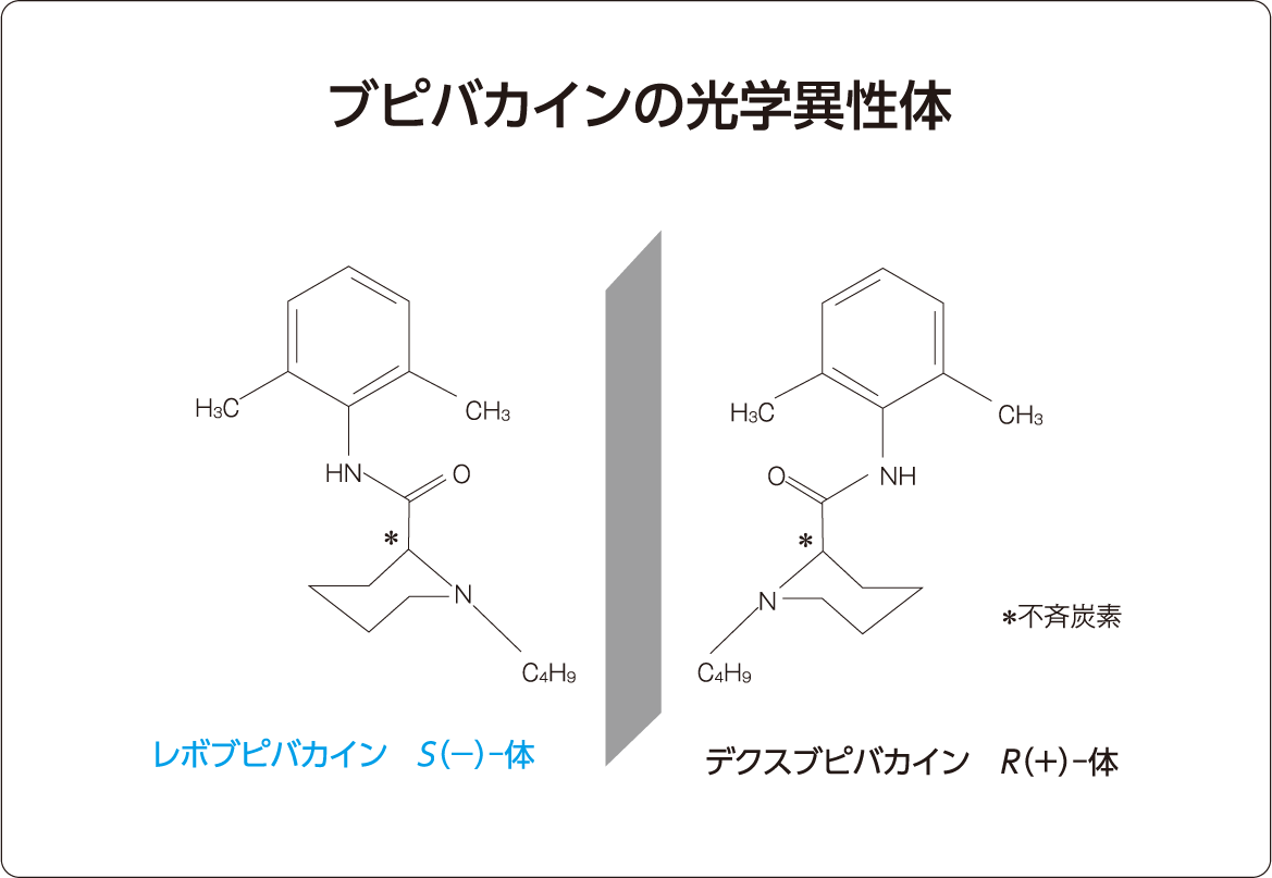  Hypofarma Hiperbaric ブピバカイン塩酸塩インサート