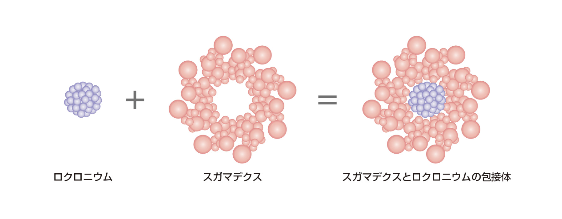 作用機序のイメージ