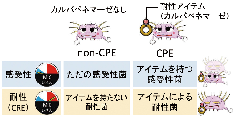 第3章 庶民系の細菌②