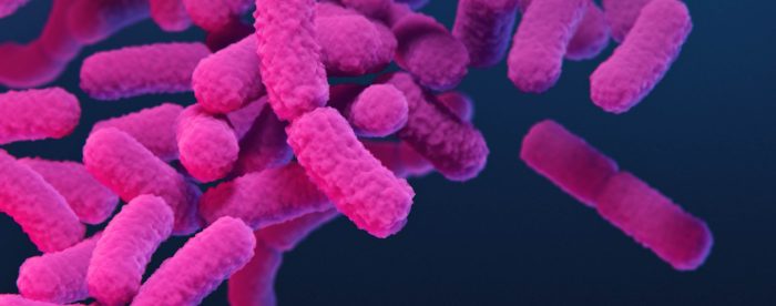 カルバペネム耐性腸内細菌目細菌(CRE)感染症