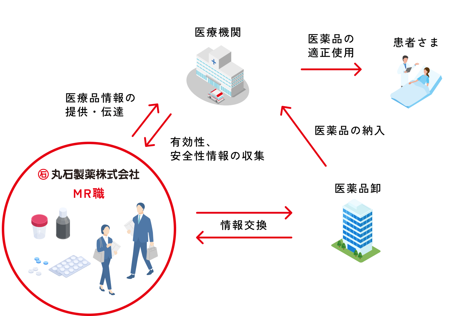 丸石製薬株式会社のMR職が医療機関、薬局、患者に医薬品情報を提供・伝達し、適切な使用と安全性情報の収集を行う役割を示した図